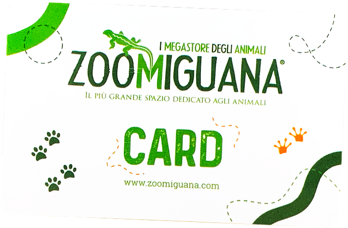 fidelity card zoomiguana