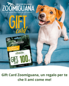 Gift Card Zoomiguana