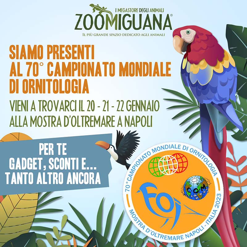 Zoomiguana-campionato-mondiale-ornitologia-mostra-d'oltremare